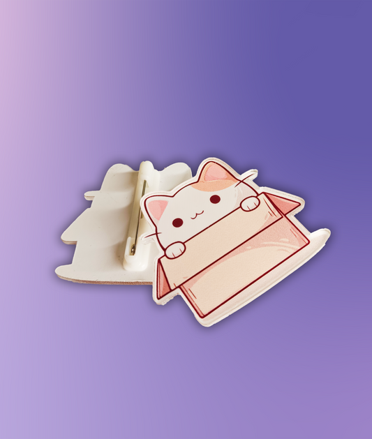 Cute Cat in Box Pin
