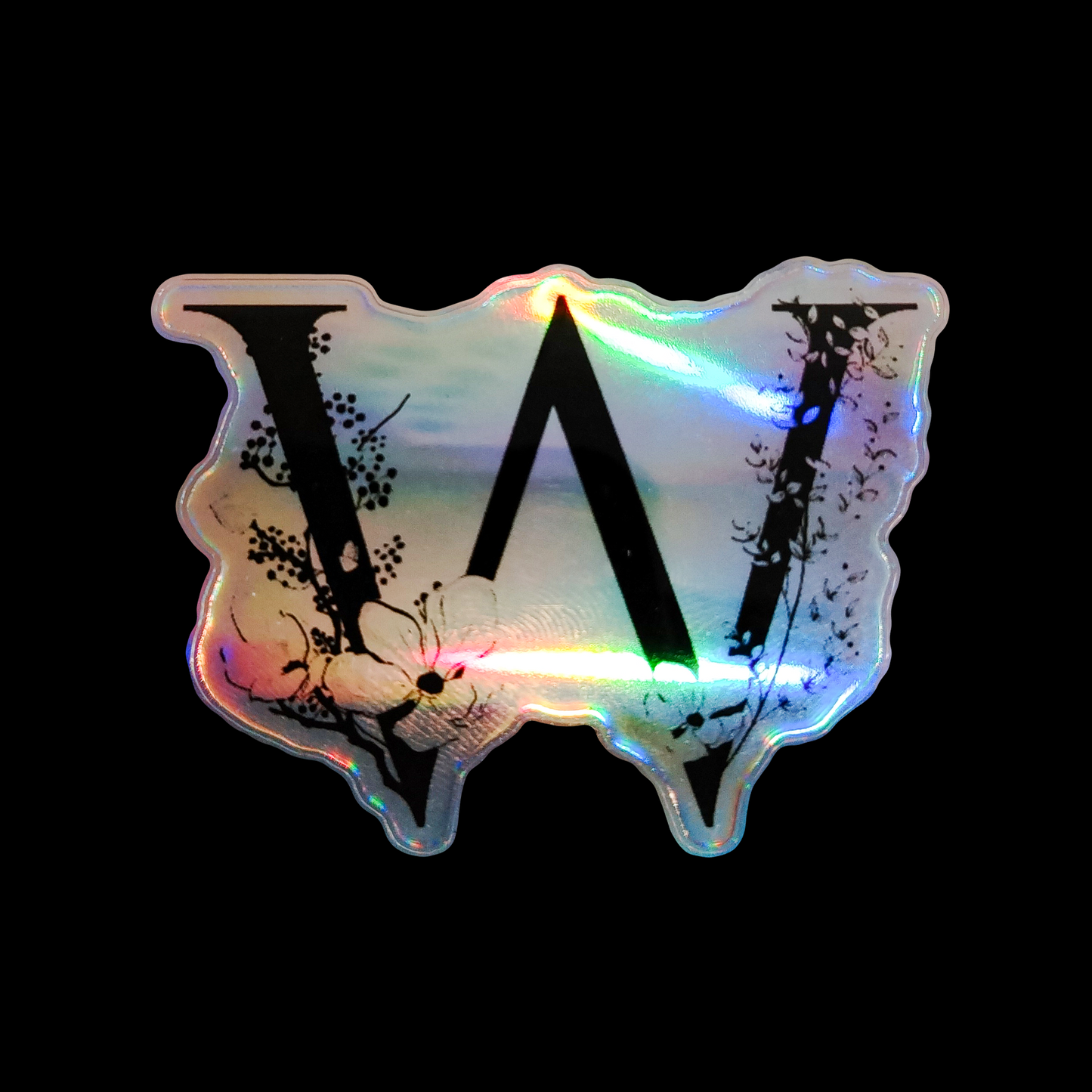W Holographic 3D