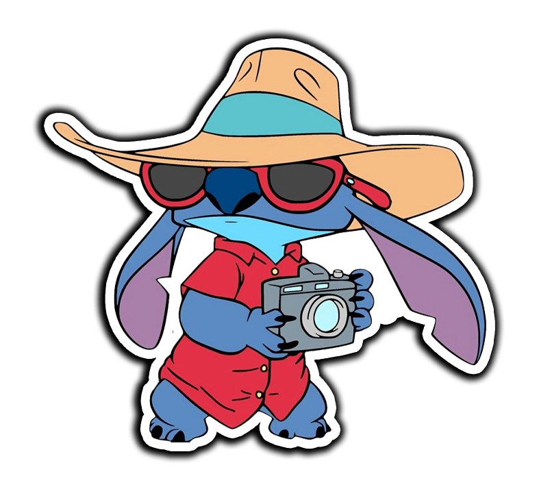Stitch In Summer