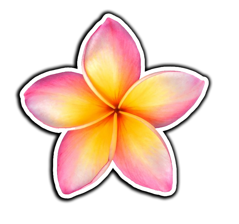 Frangipani Flowers Beauty