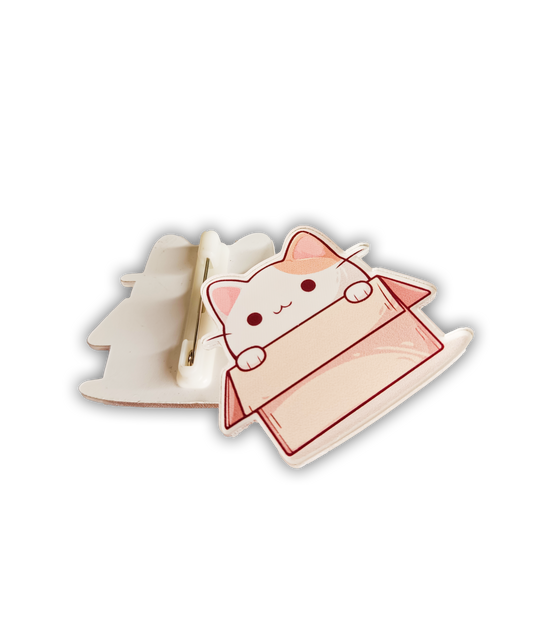 Cute Cat in Box Pin