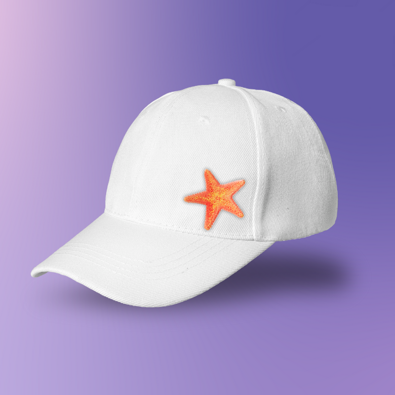 Sea Star Pin