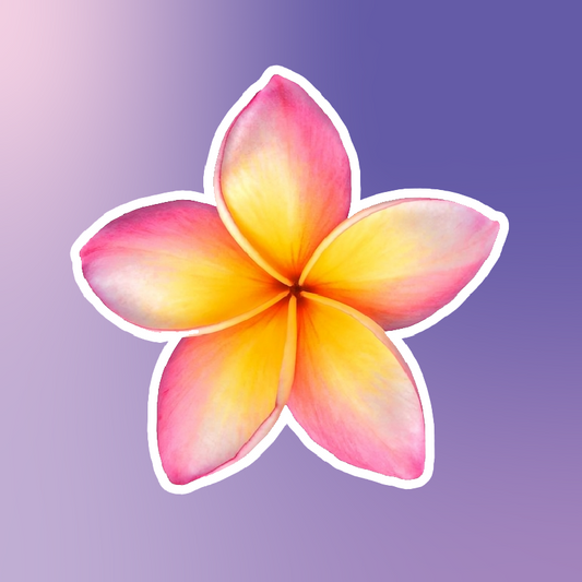 Frangipani Flowers Beauty