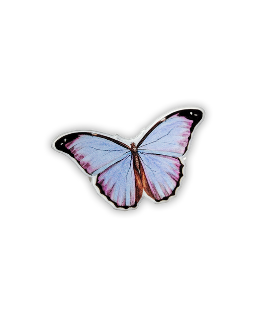 Blue Butterfly Pin