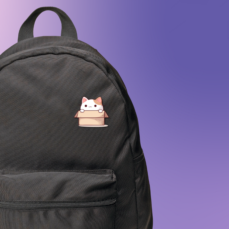 Cute Cat in Box Pin