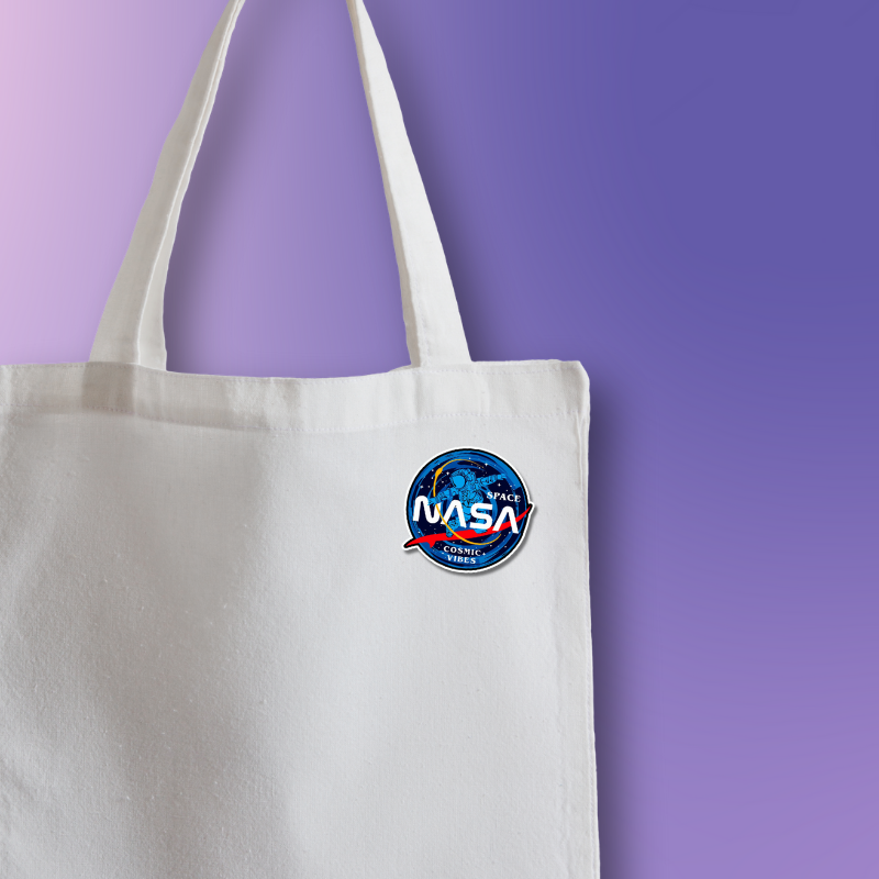 Nasa Pin