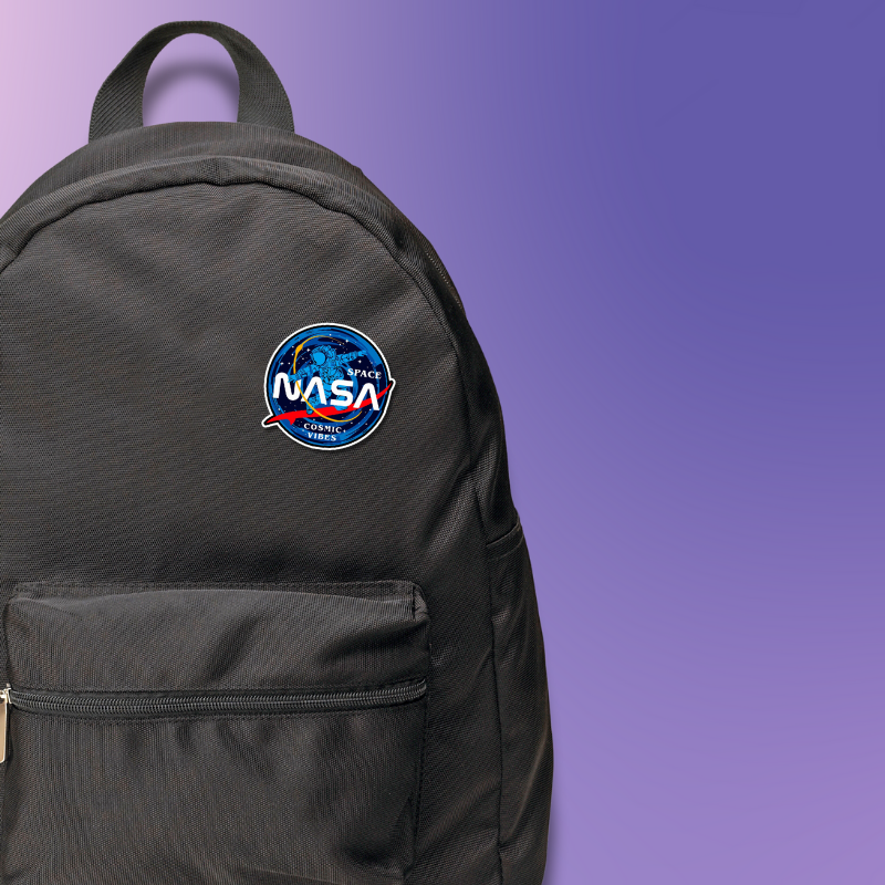 Nasa Pin