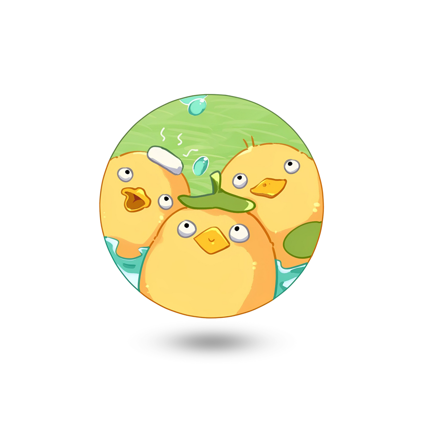Katket Coaster