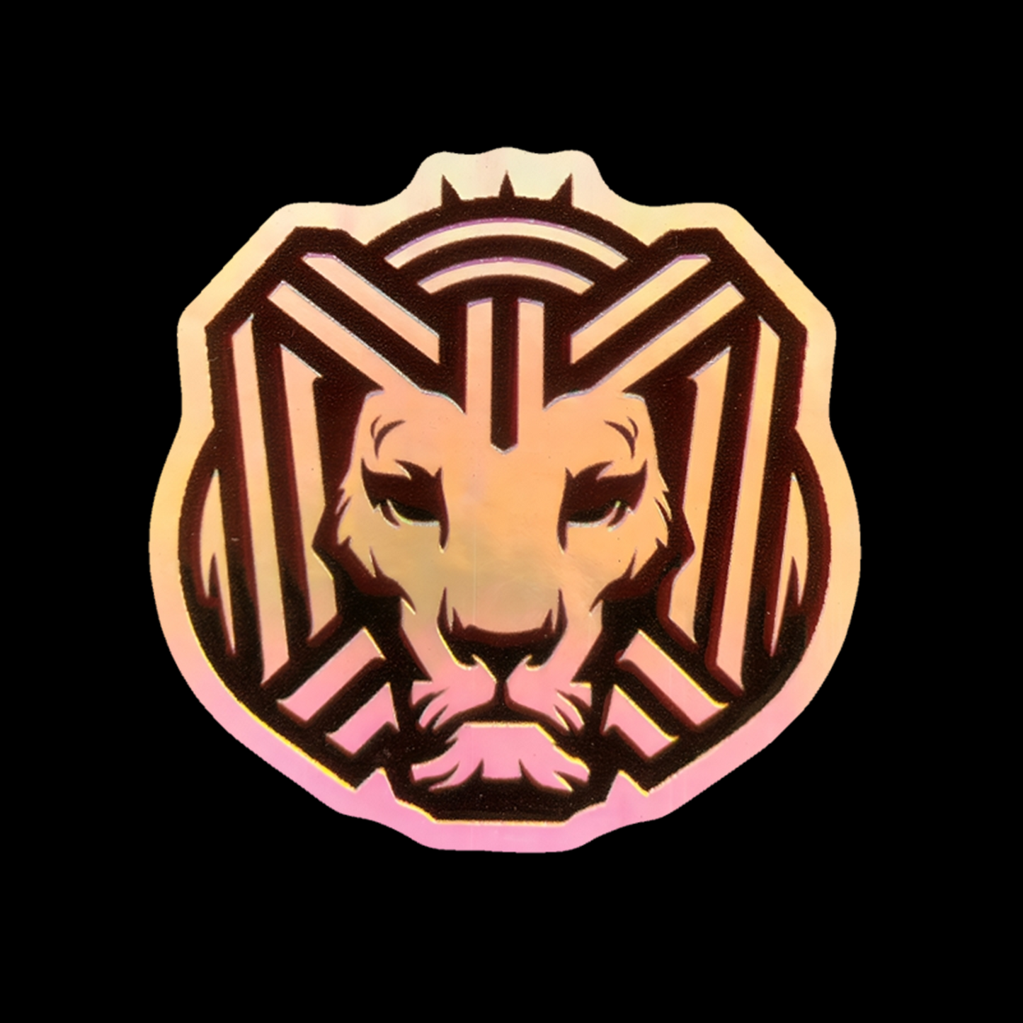 Cairokee Holographic 3D