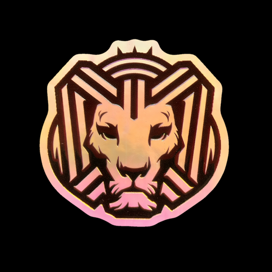 Cairokee Holographic 3D