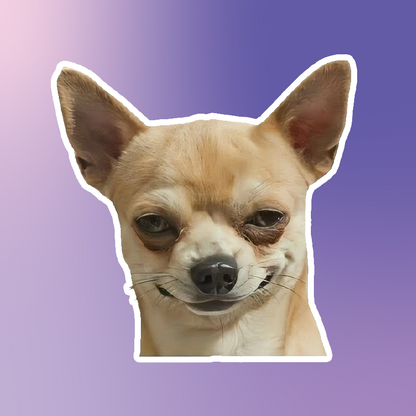 Chihuahua Sticker