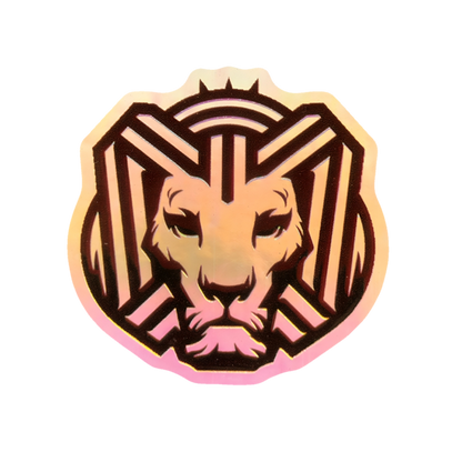 Cairokee Holographic 3D